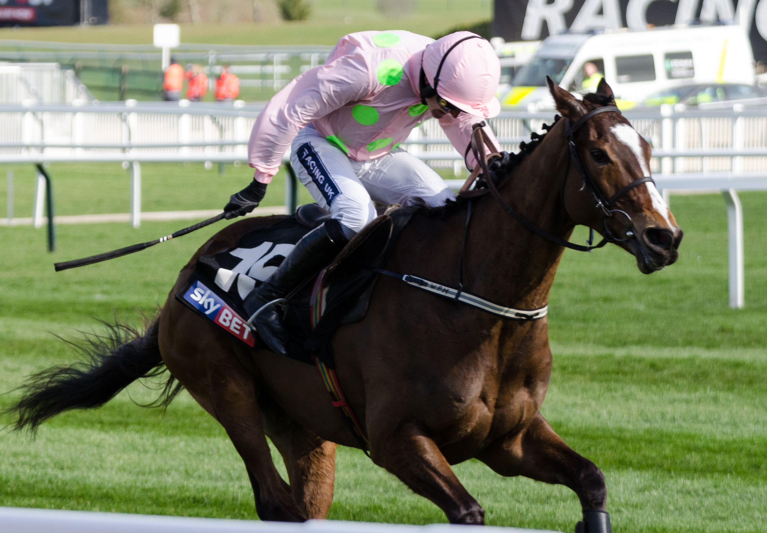 Vautour