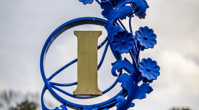 Saturday Selections: 11th November 2023