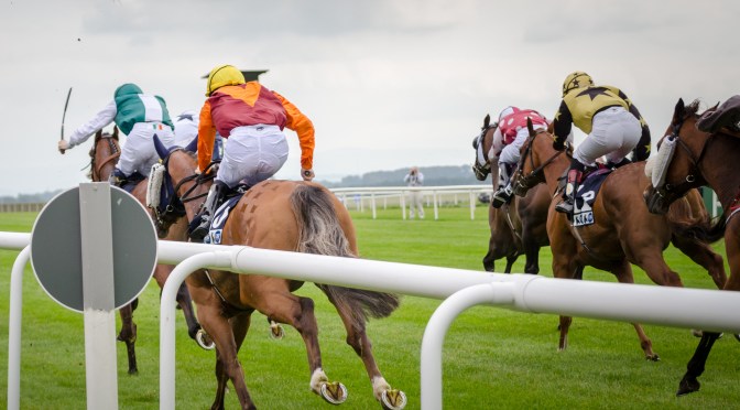 Saturday Selections: 2nd July 2022