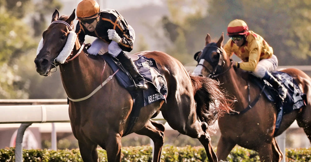 Able Friend - Photo: www.summerhill.co.za