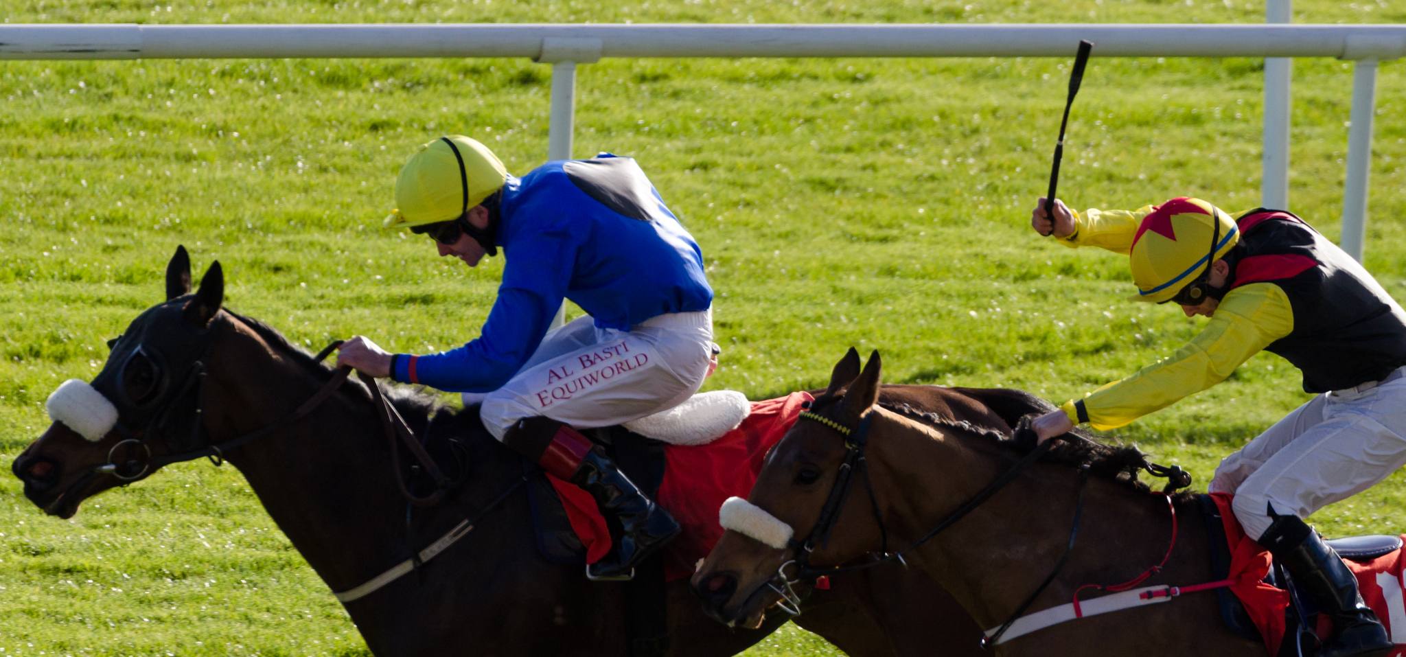 Irish Lincolnshire 2014