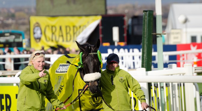 Saturday Selections: 13th April 2024