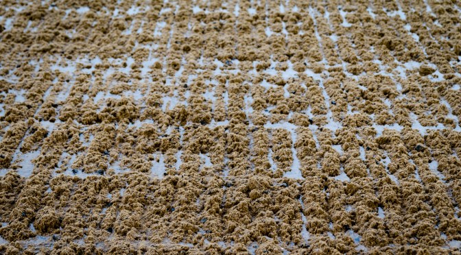 All-Weather Wednesday: 1st March 2023