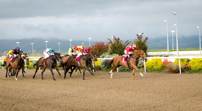 Friday Night at Dundalk: Report + Photos