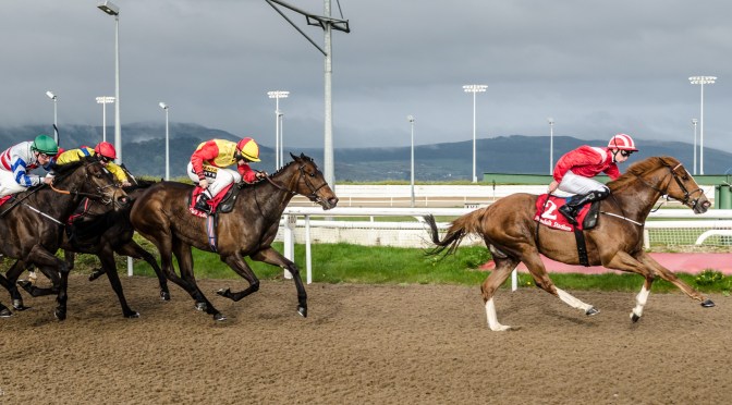 All-Weather Eyecatchers 24/25 #1