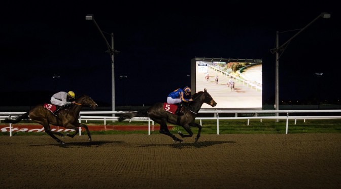 All-Weather Thursday Selections: 16th March 2023