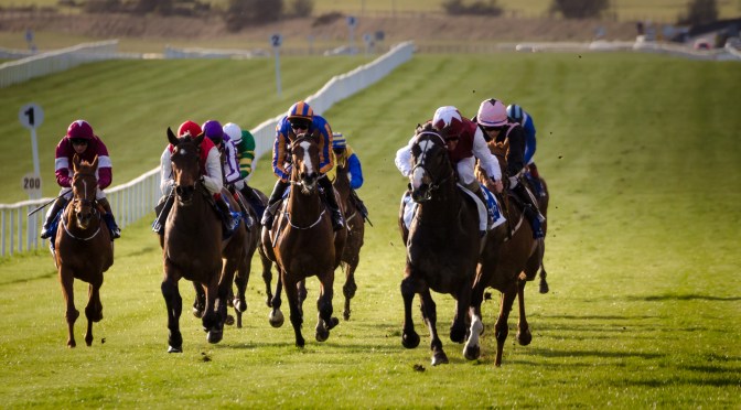 Tuesday Selections: 17th May 2022