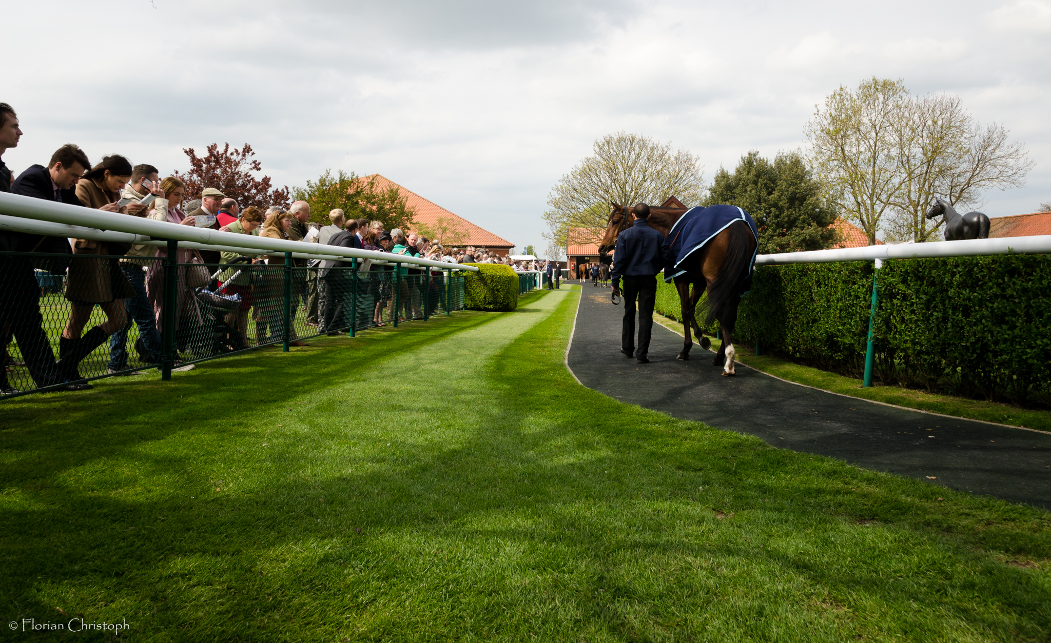 Newmarket Rowley Mile pre-parade ring
