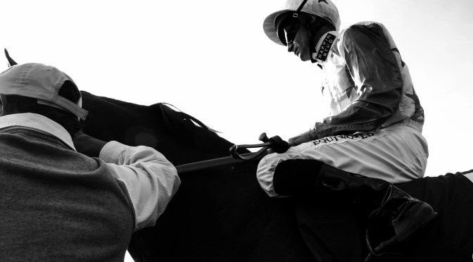 Wednesday Selections: 4th January 2023