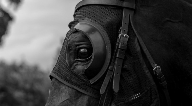 Monday Selections: 21st August 2023