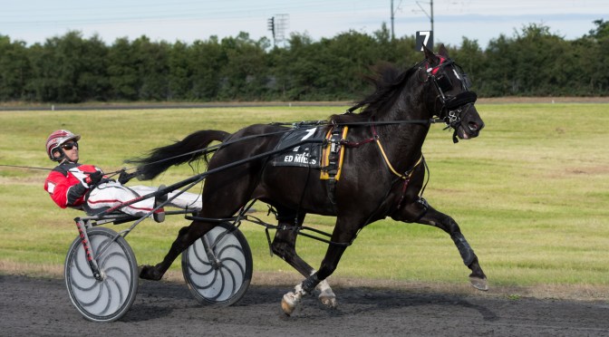 Harness Racing at Portmanock