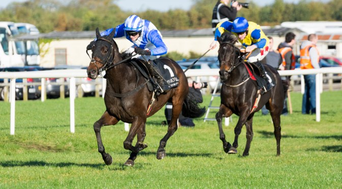 Concordin will love the Navan Mud