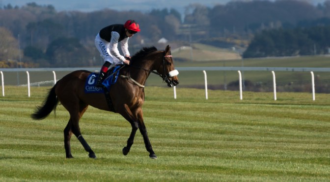 Eye-Catchers #2 2022