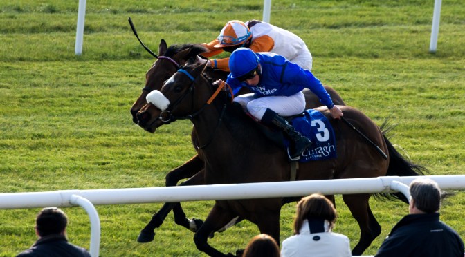 Five To Follow in 2022