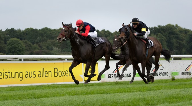 Sunday Selections: 31st July 2022