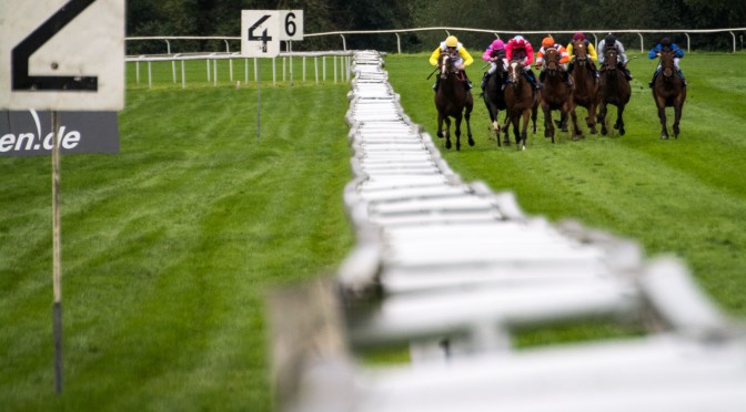 Friday Selections: 29th July 2022