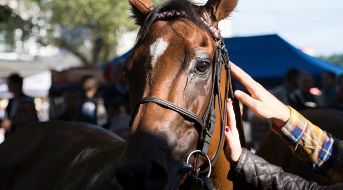 All-Weather Eyecatchers #5