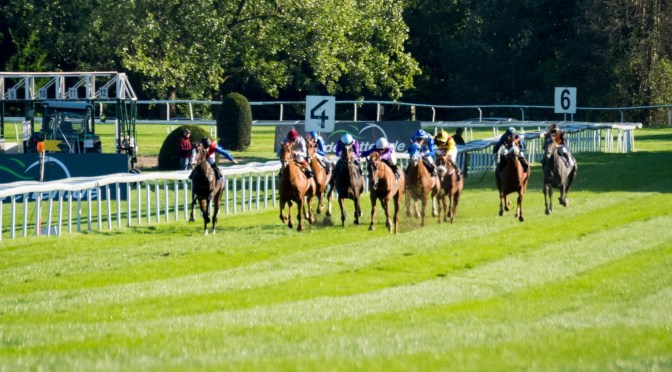 Thursday Selections: 25th May 2023