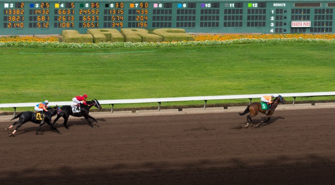 A Day Out at Los Alamitos Racetrack