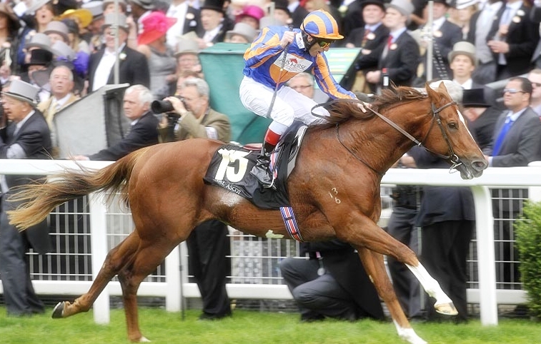 Starspangledbanner JM