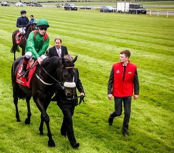 13439219_10208235975509353_875525452102140466_n