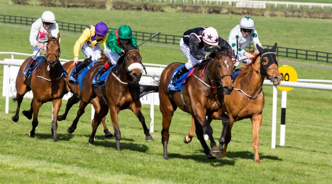 Monday Selections: 8th May 2023