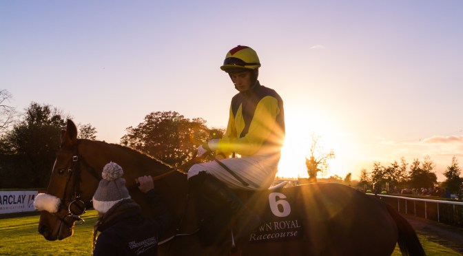 Preview: Kenilworth – 2018 Sun Met