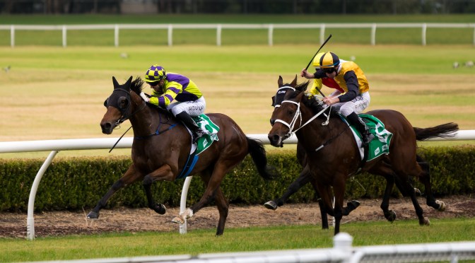 Melbourne Cup 2022 Preview