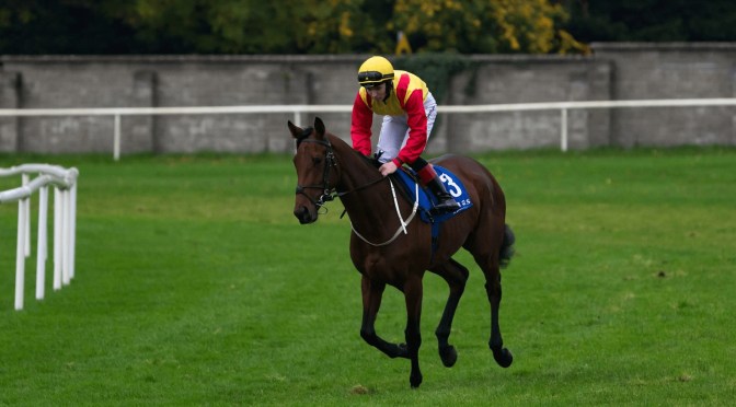 Tuesday Selections: 23rd May 2023