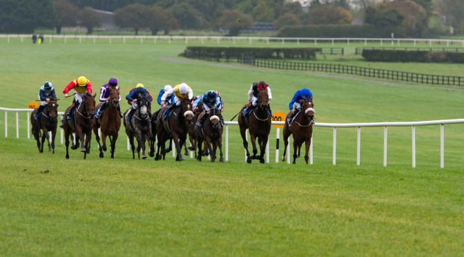 Tuesday Selections: 12th July 2022