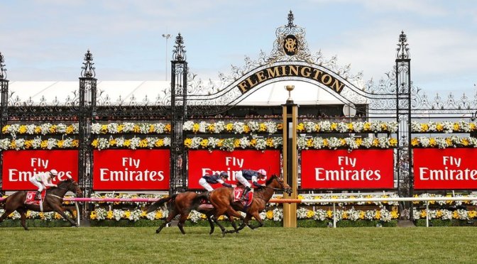 2017 Melbourne Cup – When You Get It Right!
