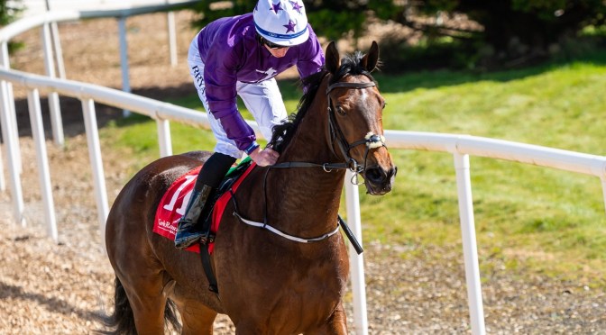 Flat Eyecatchers 2023: #2