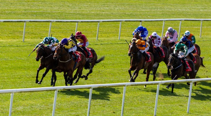 Thursday Selections: 7th July 2022