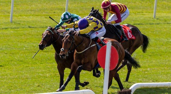 Flat Horses To Follow 2023: Older Handicappers