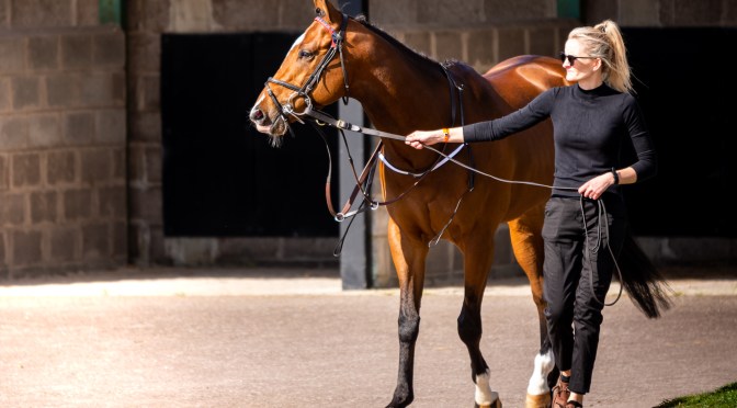 Sunday Selections: 15th January 2023