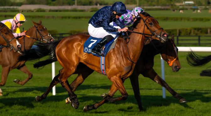 Saturday Selections: 11th May 2024