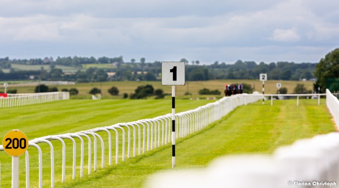 Friday Selections: 31st May 2024