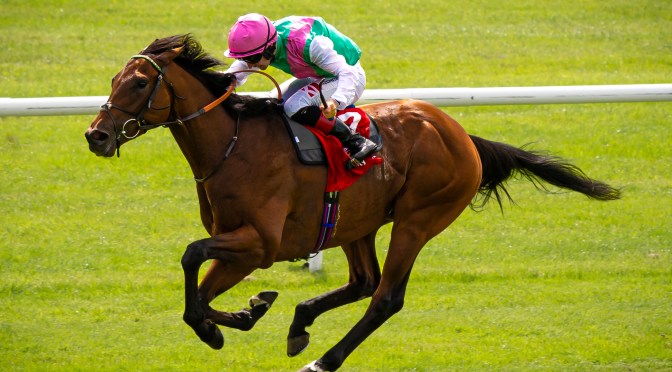 Monday Selections: 1st August 2022