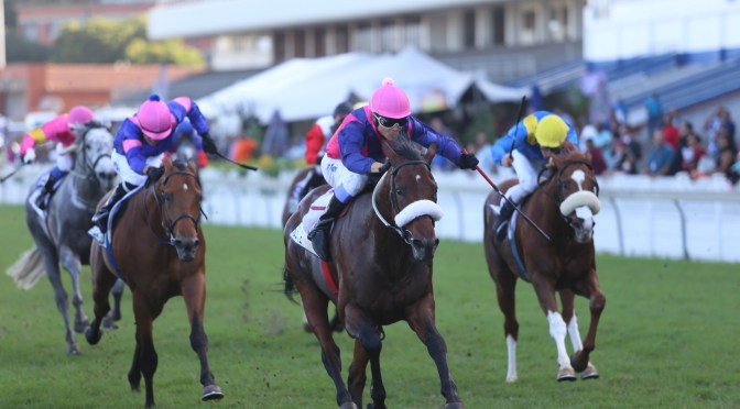 Durban July Preview 2022