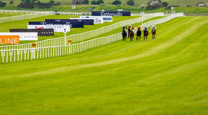 Saturday Selections: 12th August 2023