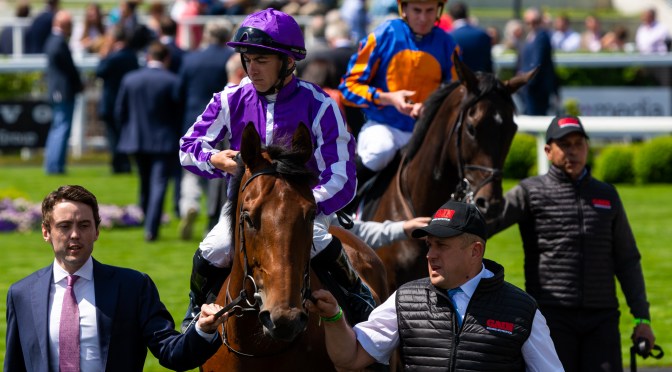 Flat Eyecatchers 2023: #4