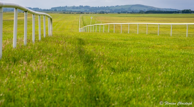 Saturday Selections: 24th June 2023