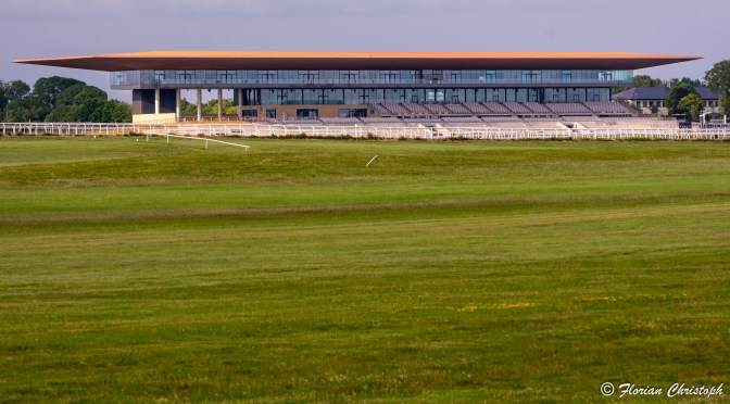 Sunday Selections: 2nd July 2023