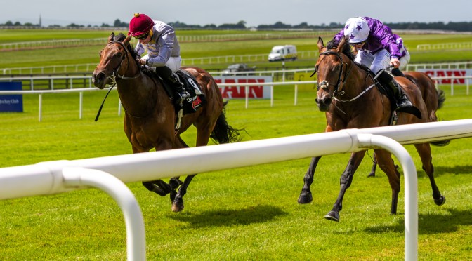 Sunday Selections: 12th May 2024