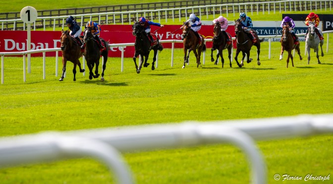 Sunday Selections: 22nd October 2023