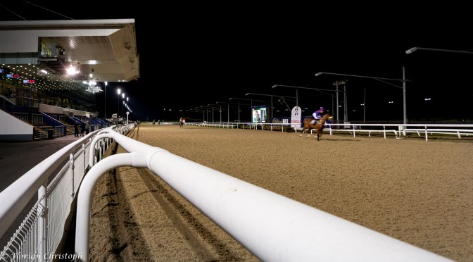 Friday Selections: 1st November 2024